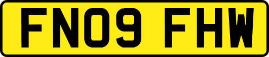 FN09FHW