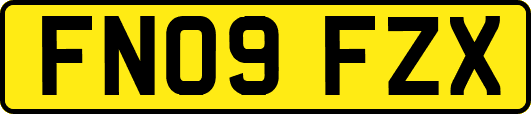 FN09FZX