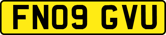 FN09GVU
