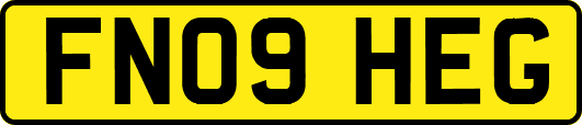 FN09HEG