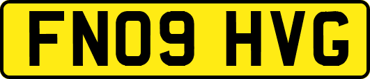 FN09HVG