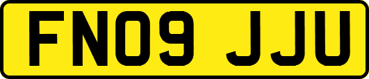 FN09JJU