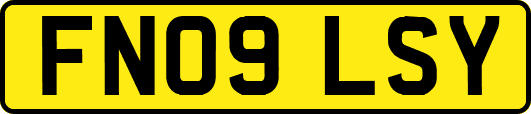 FN09LSY