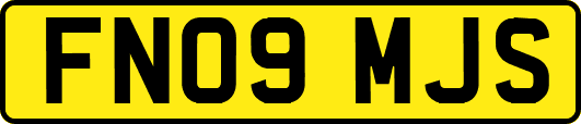 FN09MJS
