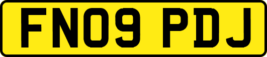 FN09PDJ