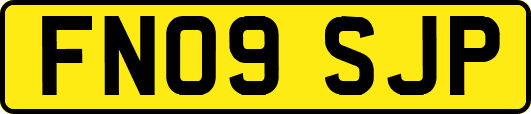 FN09SJP