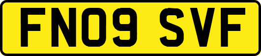 FN09SVF