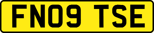 FN09TSE