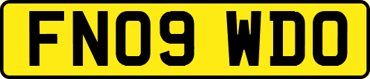 FN09WDO