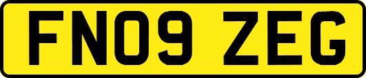 FN09ZEG