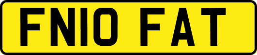 FN10FAT