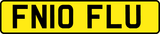 FN10FLU