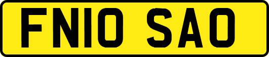 FN10SAO