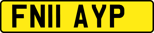 FN11AYP