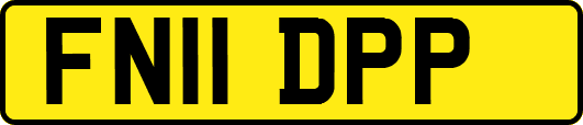 FN11DPP