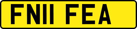 FN11FEA