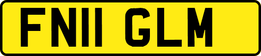 FN11GLM