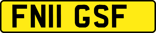 FN11GSF