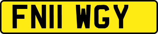 FN11WGY