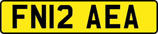 FN12AEA