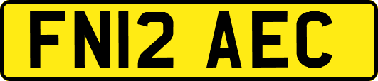 FN12AEC