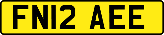 FN12AEE