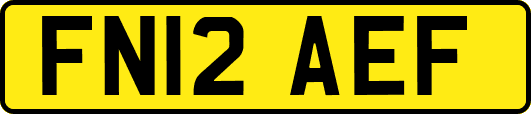 FN12AEF