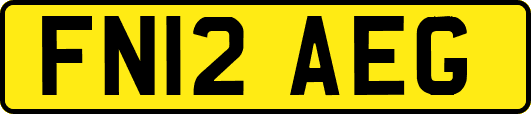 FN12AEG