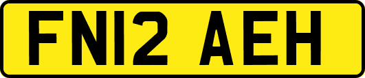 FN12AEH