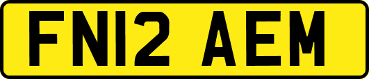 FN12AEM
