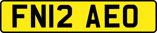 FN12AEO