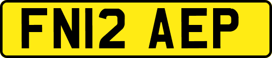 FN12AEP