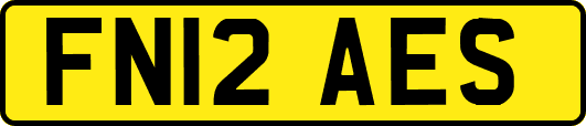 FN12AES