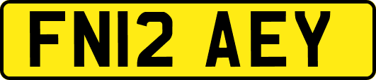 FN12AEY