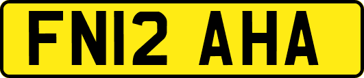 FN12AHA