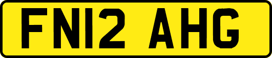 FN12AHG
