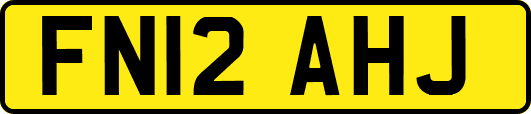 FN12AHJ
