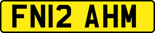 FN12AHM