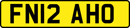 FN12AHO