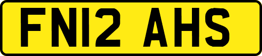FN12AHS