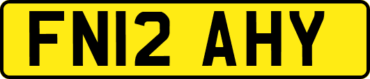 FN12AHY