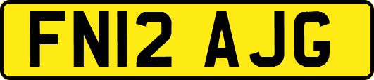 FN12AJG