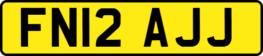 FN12AJJ