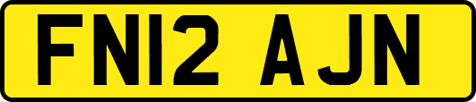 FN12AJN