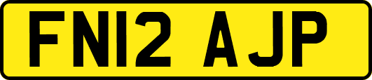 FN12AJP