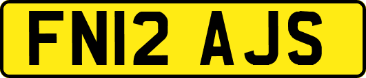 FN12AJS