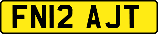 FN12AJT