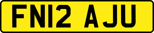 FN12AJU