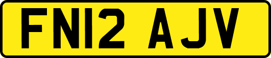 FN12AJV