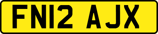 FN12AJX